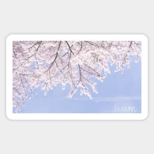 Dreamy Cherry Blossom Sticker